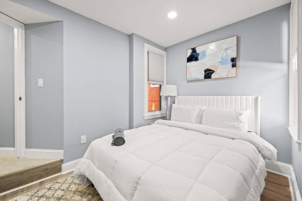 New! Cozy Apt In Center City! Philadelphia Exterior photo